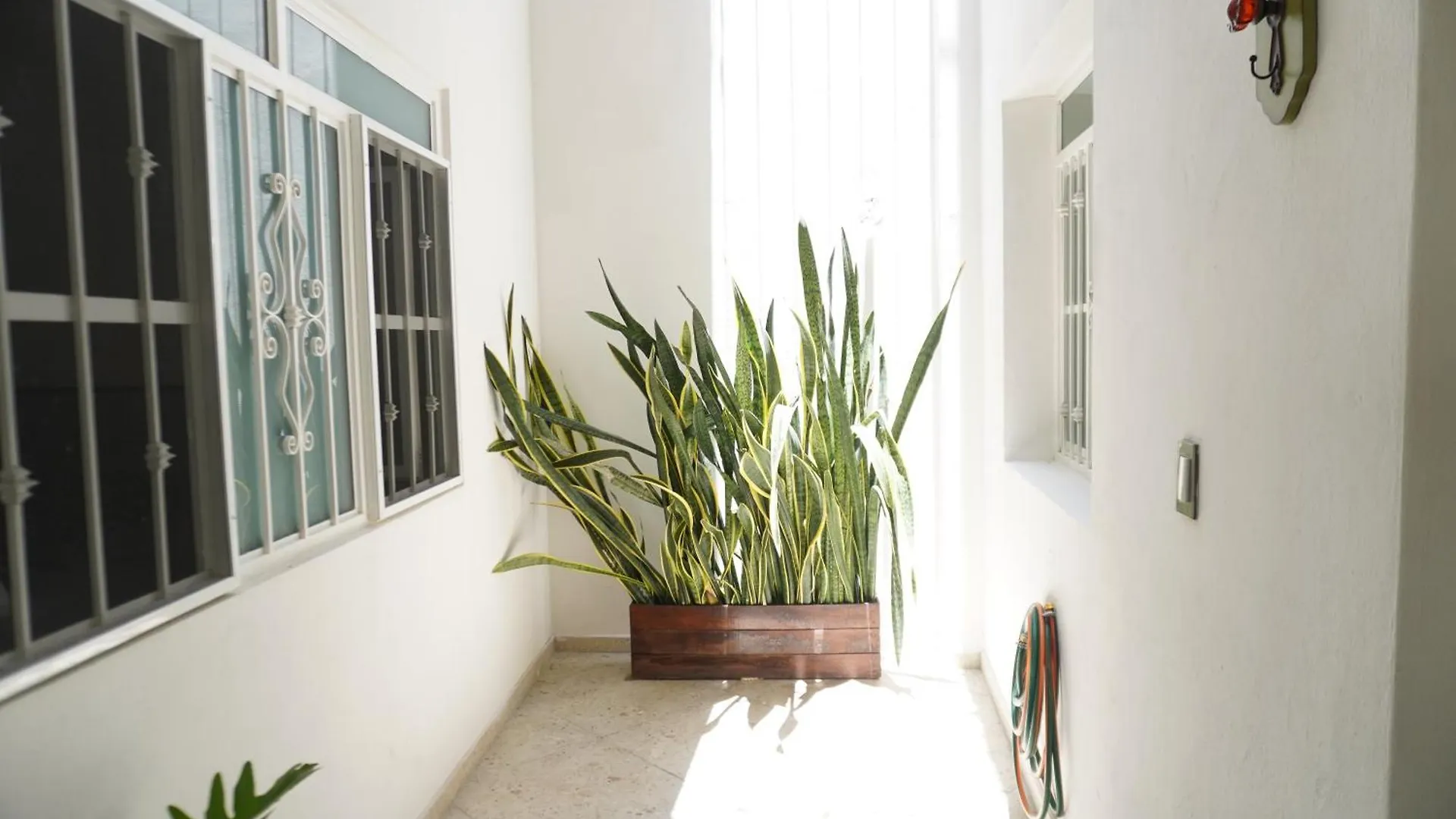 Apartamento Departamento Vintage Guadalajara